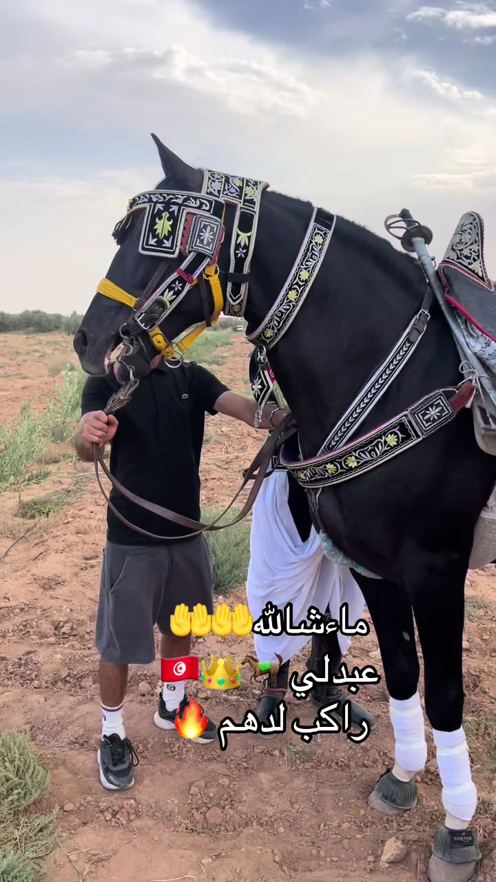 @jasser barhoumi راكب لدهم