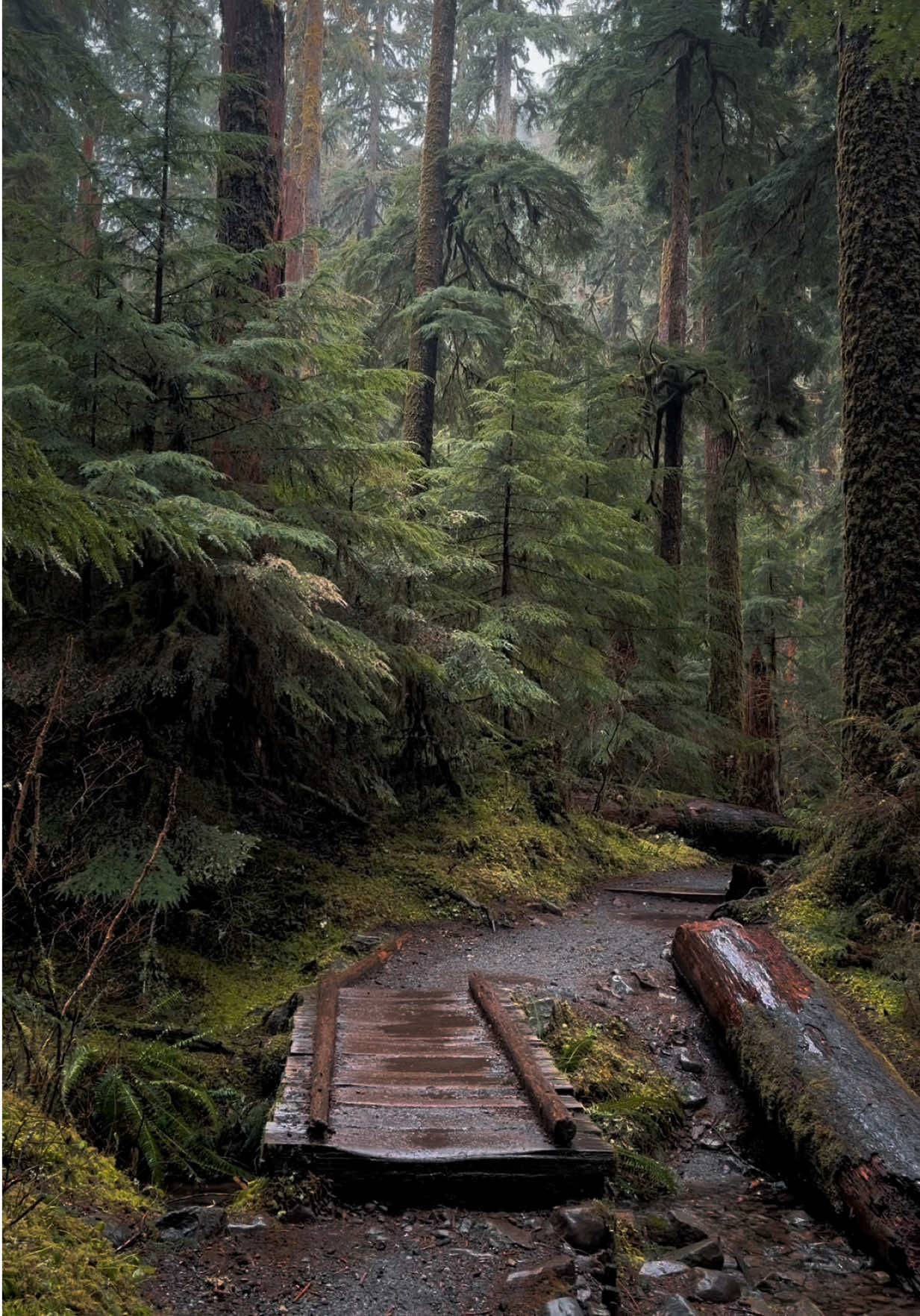 @Jordan PNW Adventures