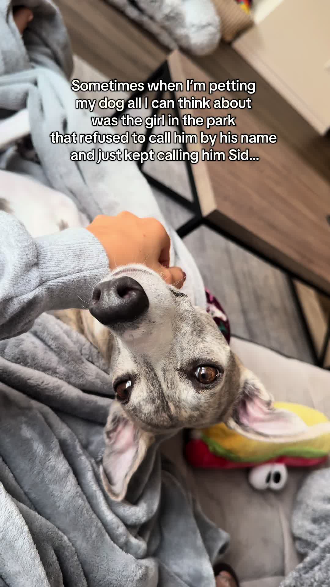 @Kayce Dog🤪🩷