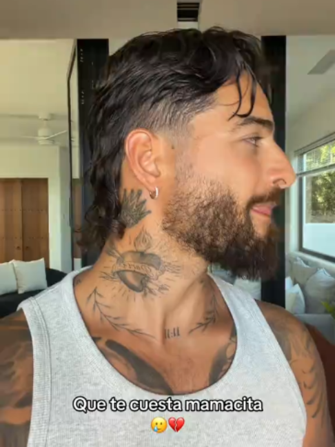 @Luis Maluma 👑