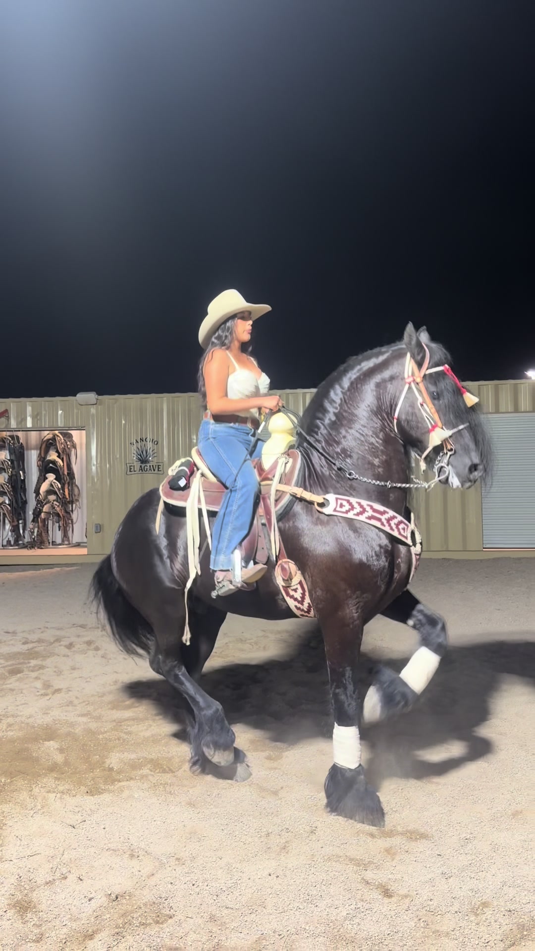 @anissadeacaballo