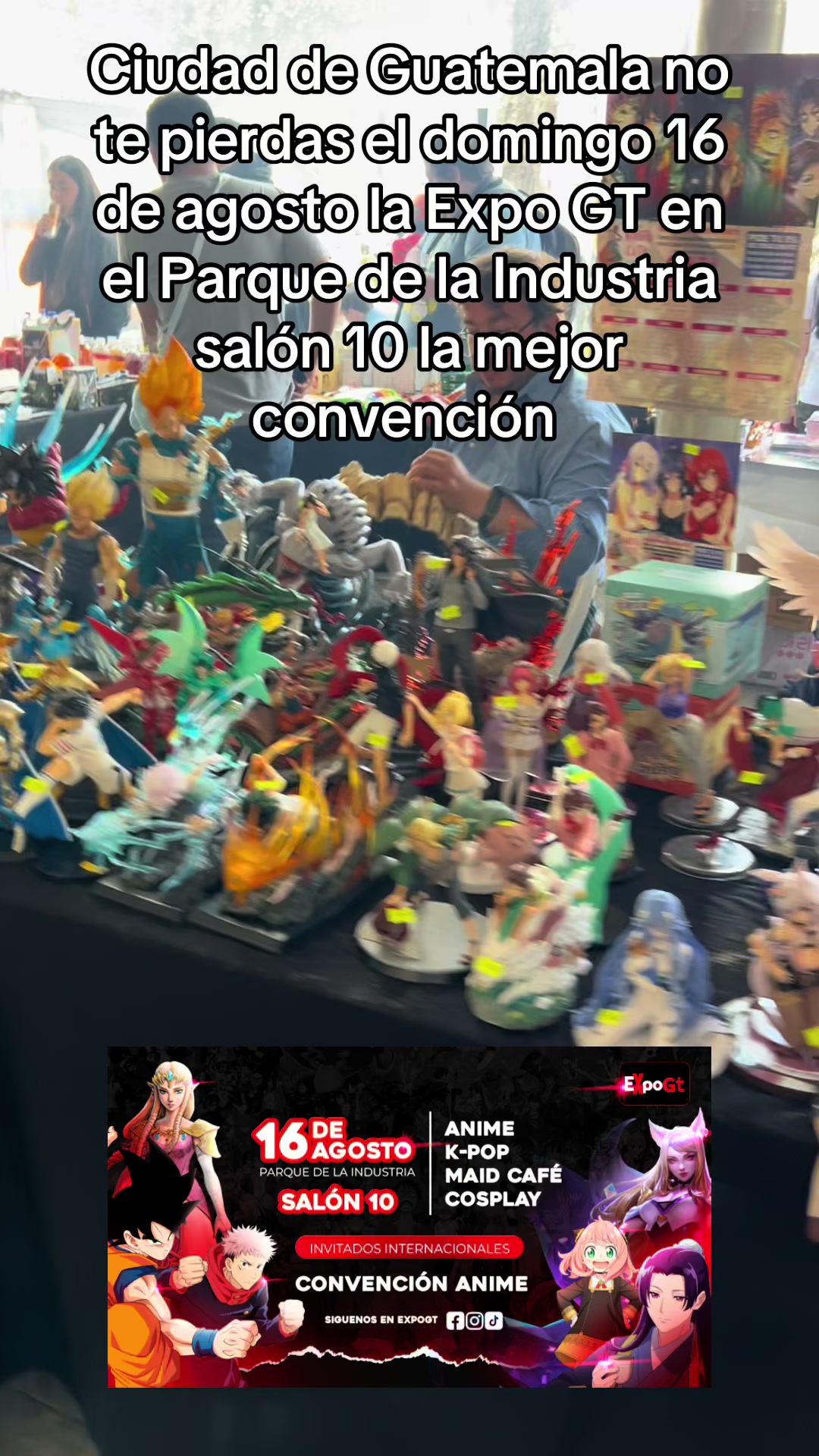@Expo GT