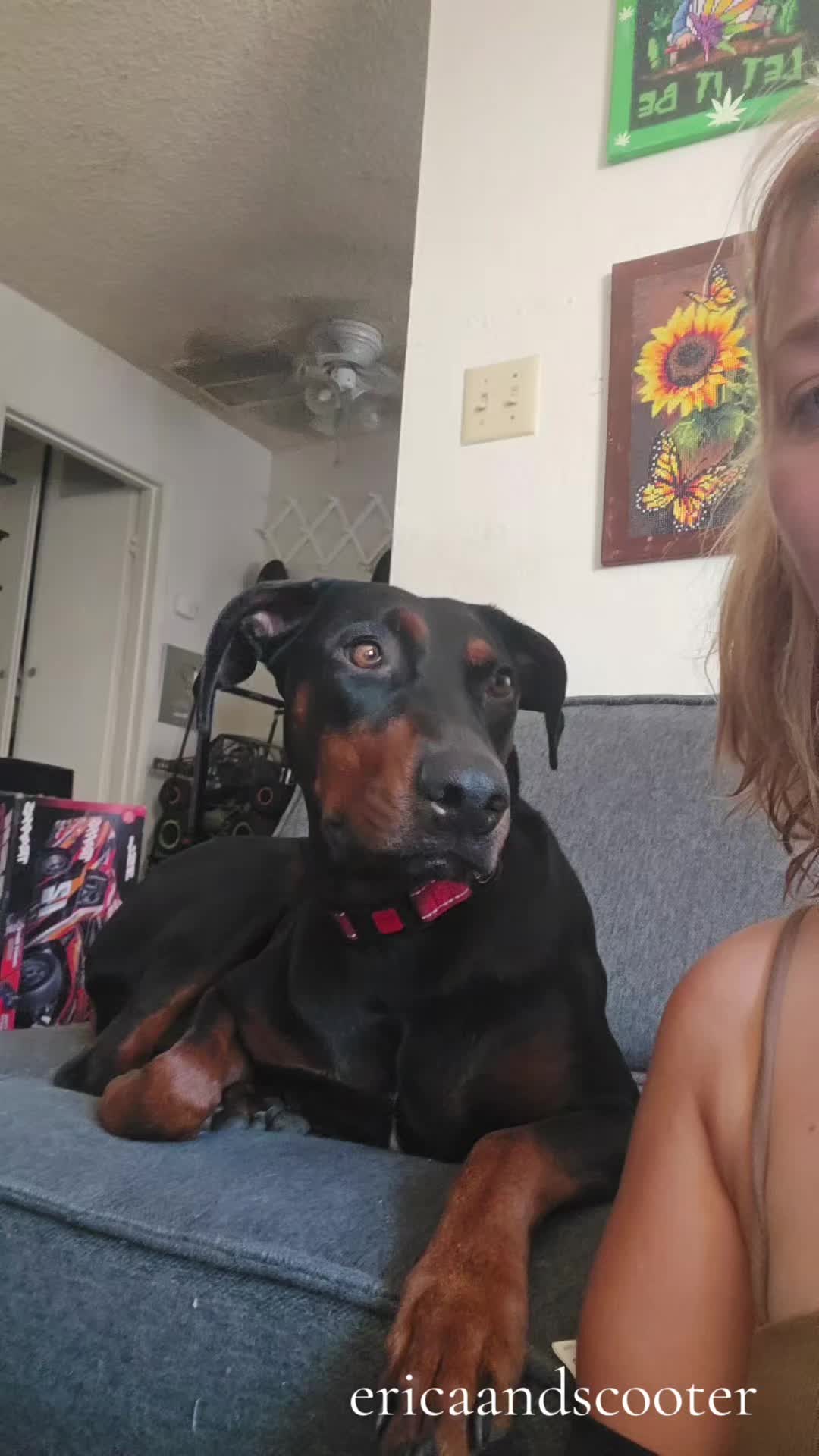 @ericaandscooter
