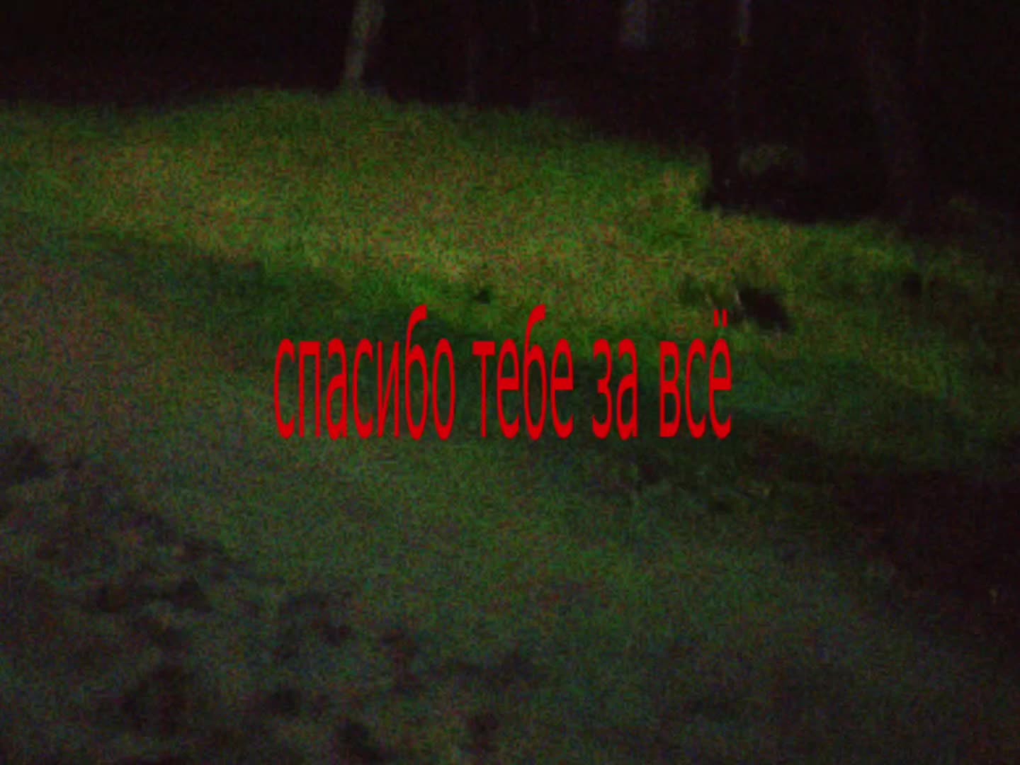 @тгк: caliniamusic