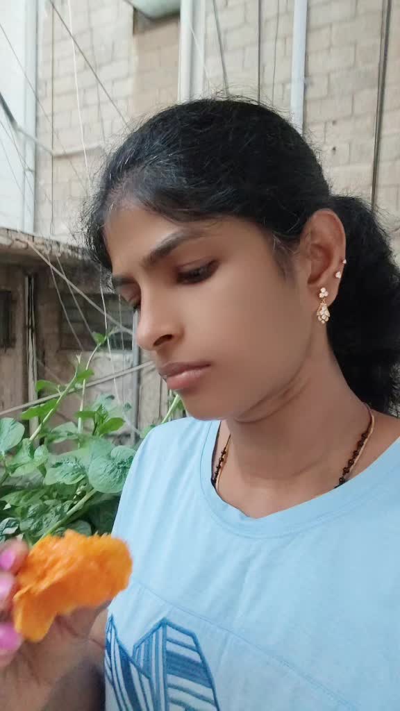 @jeci _sebi