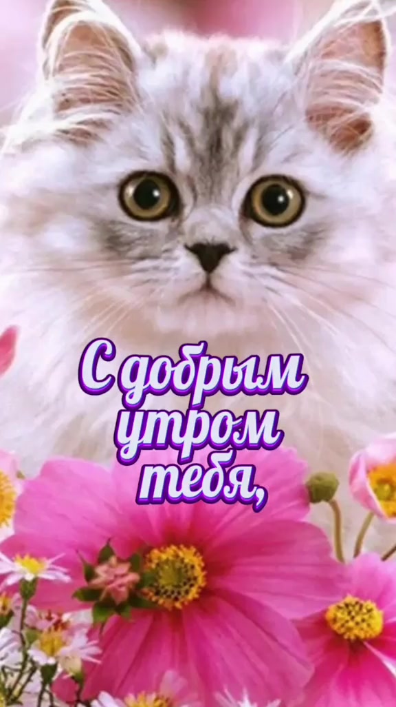 @ИРИНА