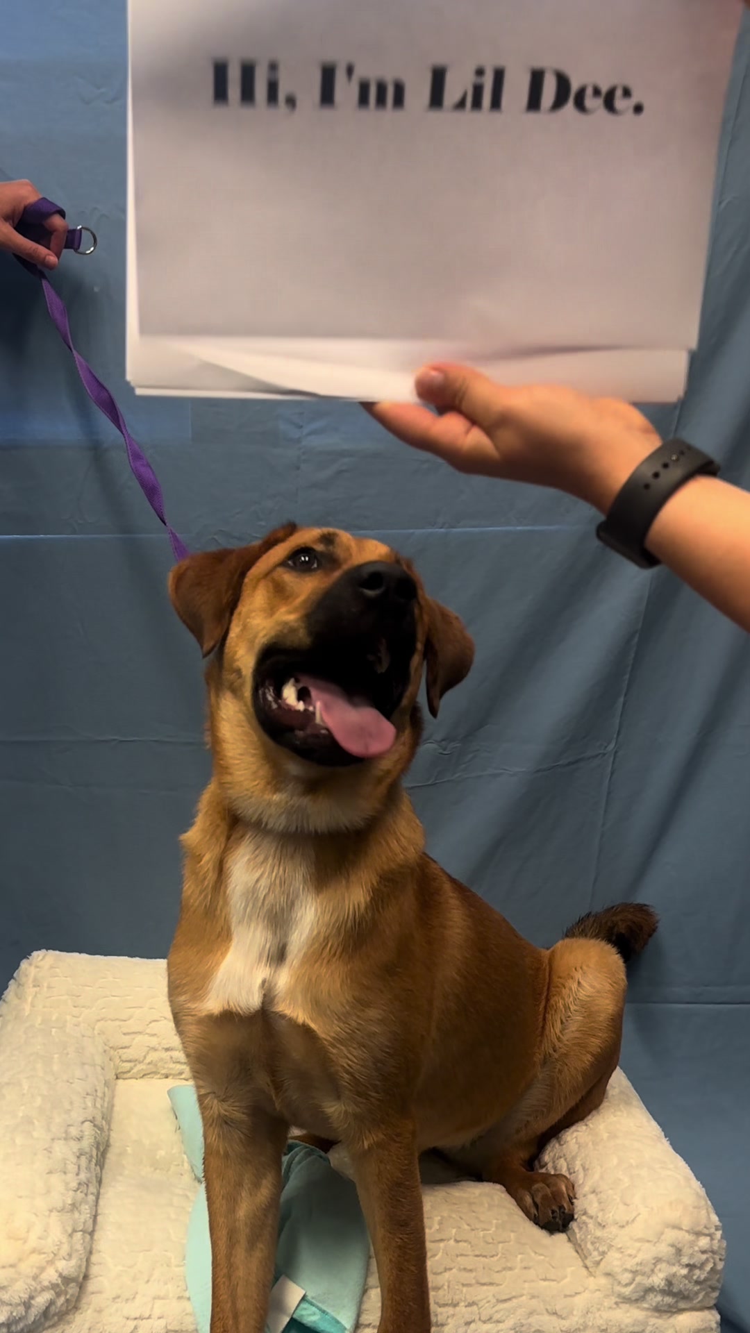 @CambridgeHumaneSocty