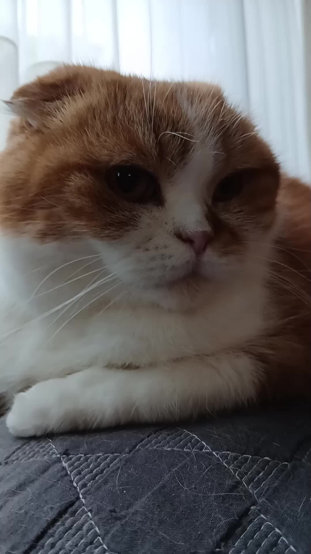 @Anneke & Simba