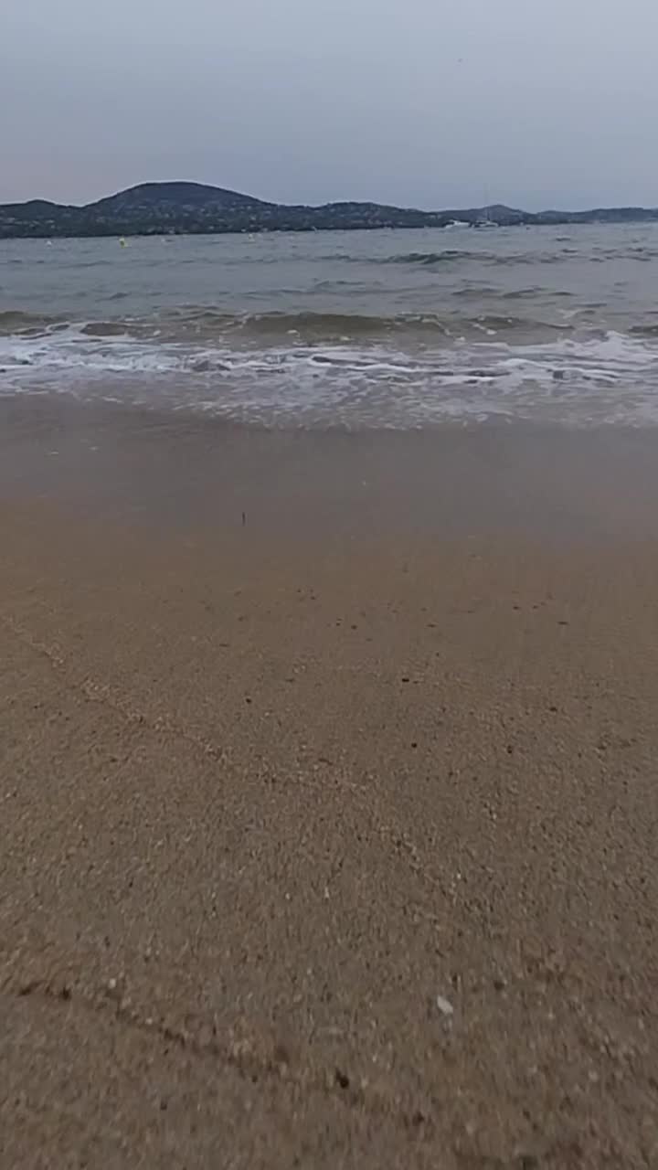@wolfthebest