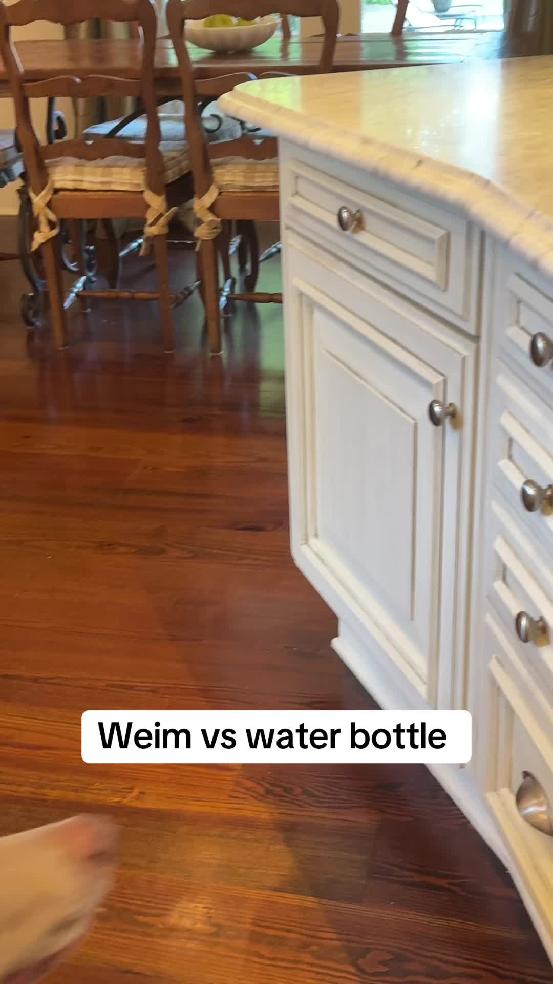 @Zoey the Weim