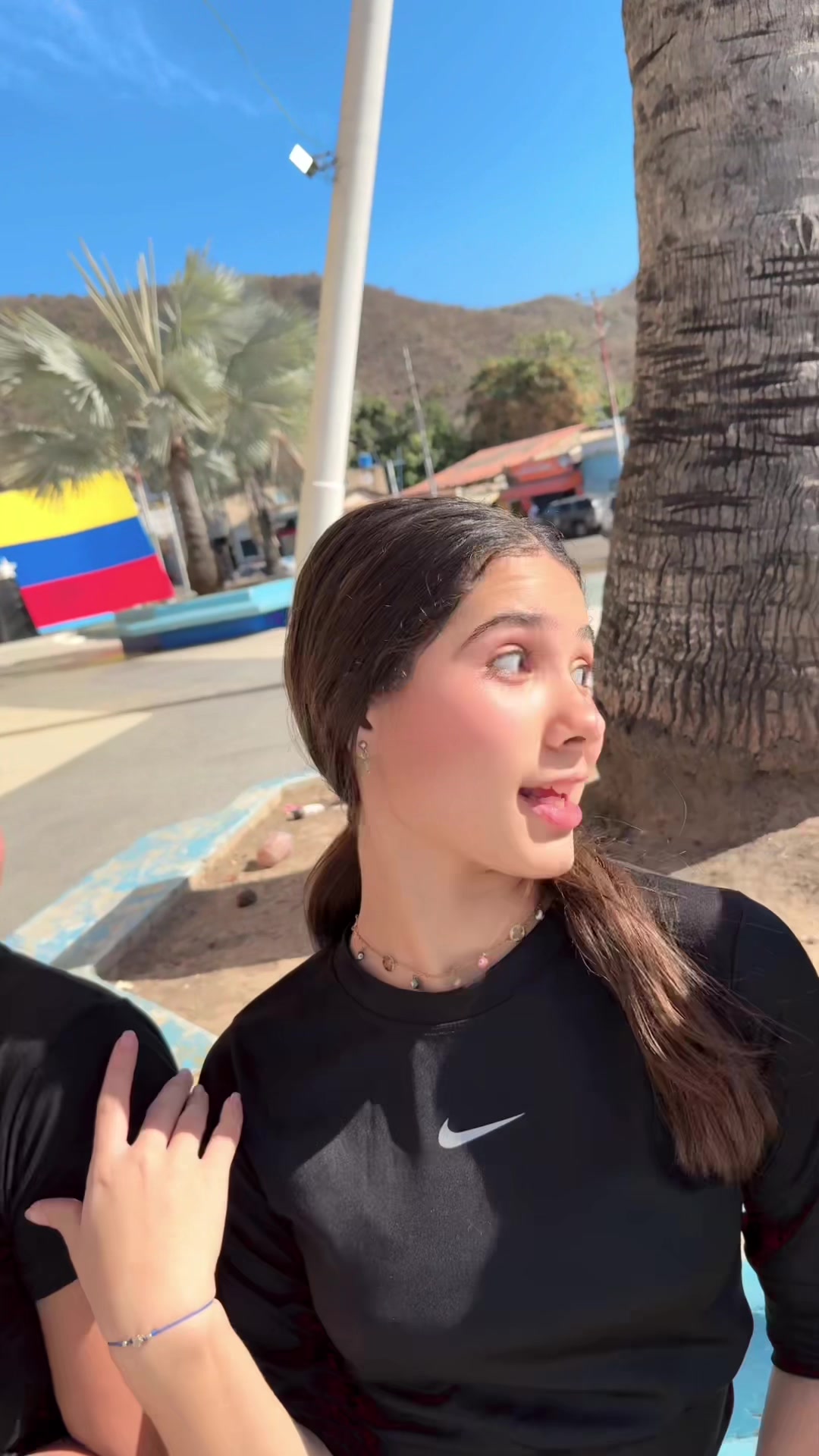 @Anita Vallenilla