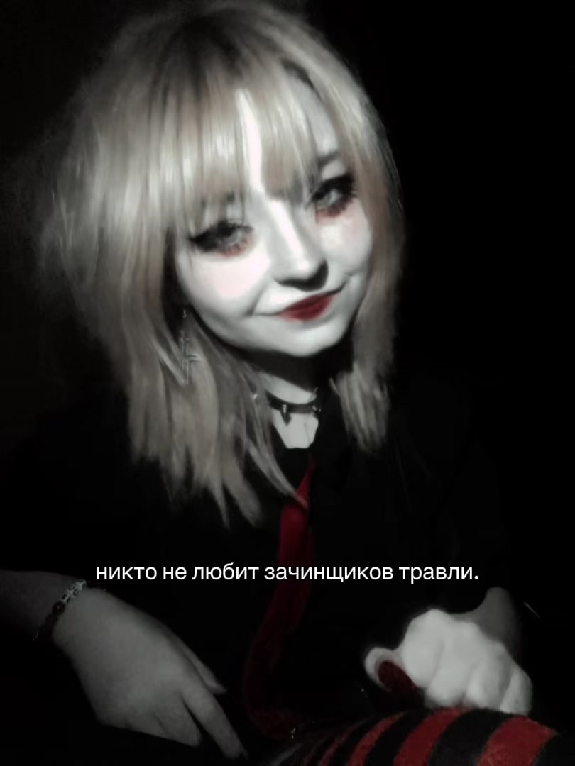 @&iexcl;!алиса тостер!&iexcl;