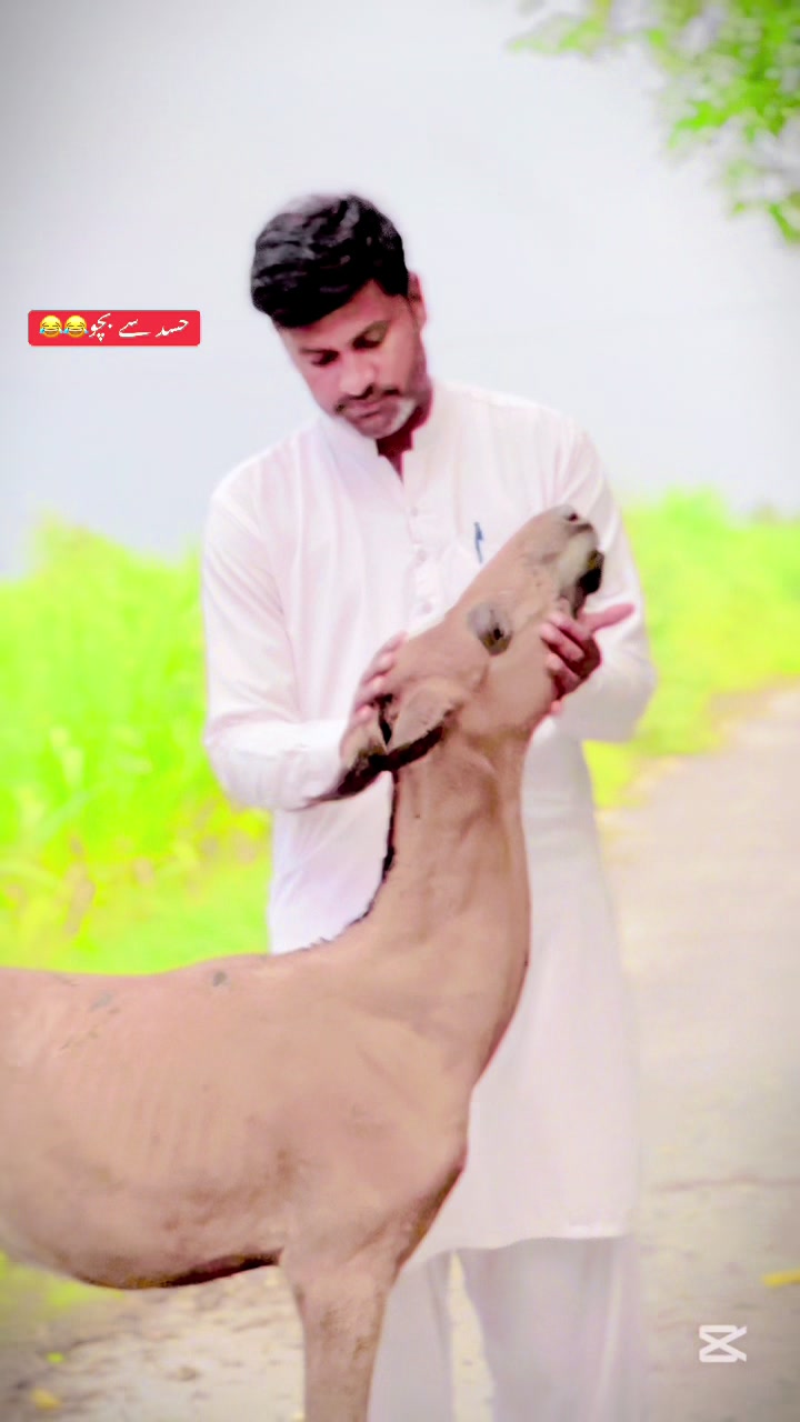 @Nasir Farooq