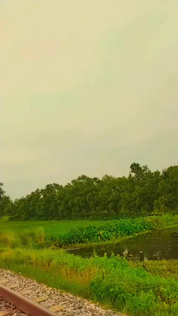 @🧒Md Emran Khah🌿💟