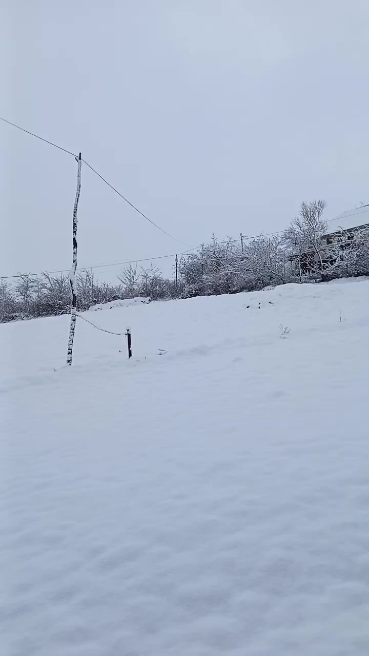 @mamed ceferli