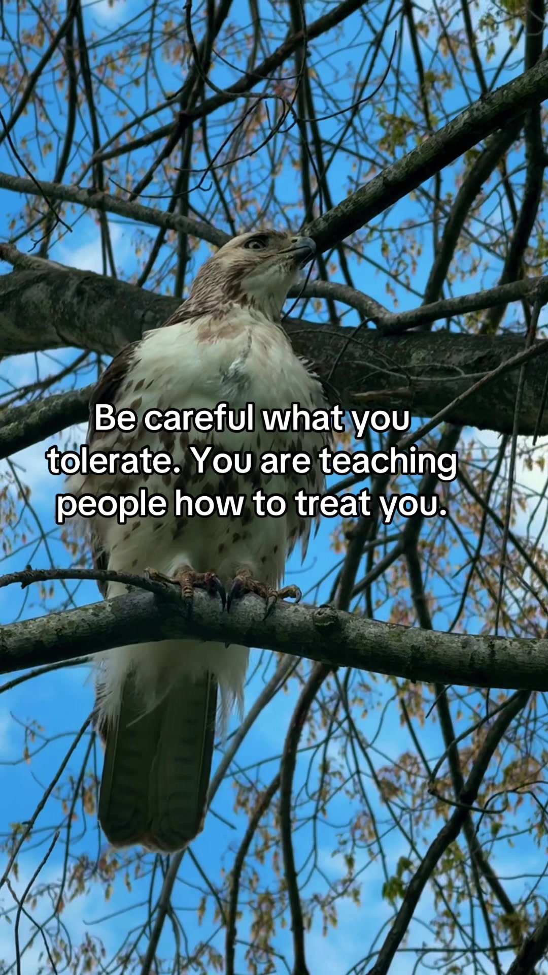 @Sam