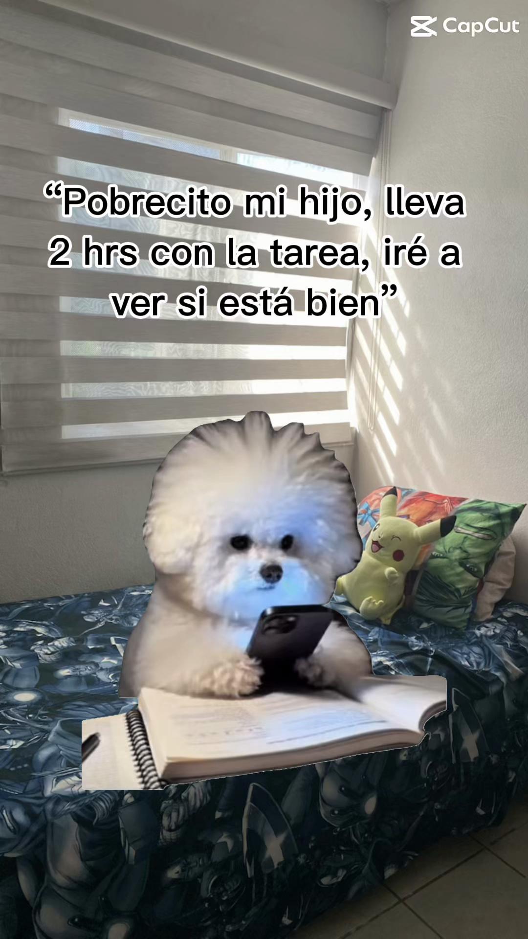 @Fer | Mam&aacute; de un adolescente