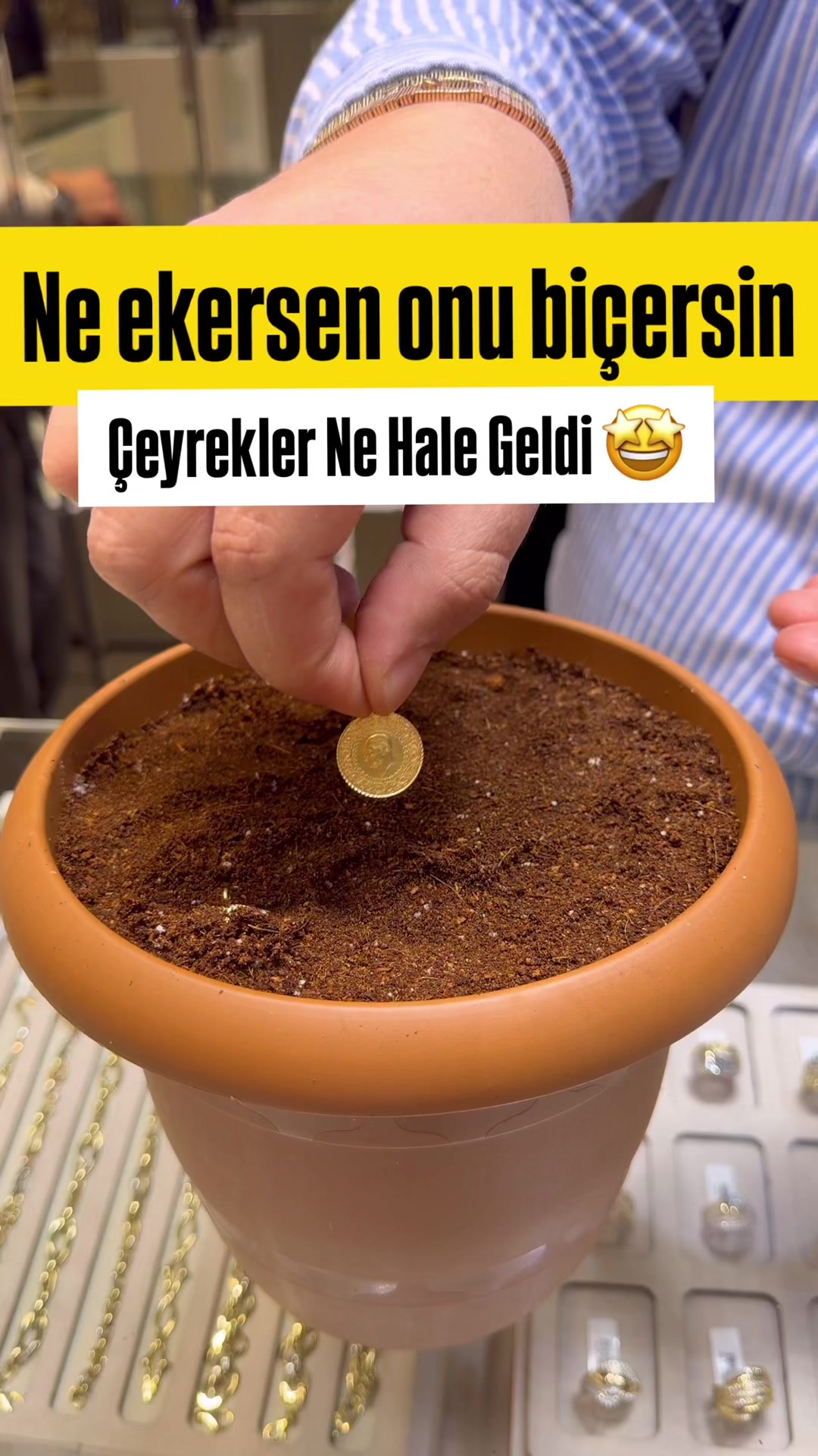 @bedoyinenerde