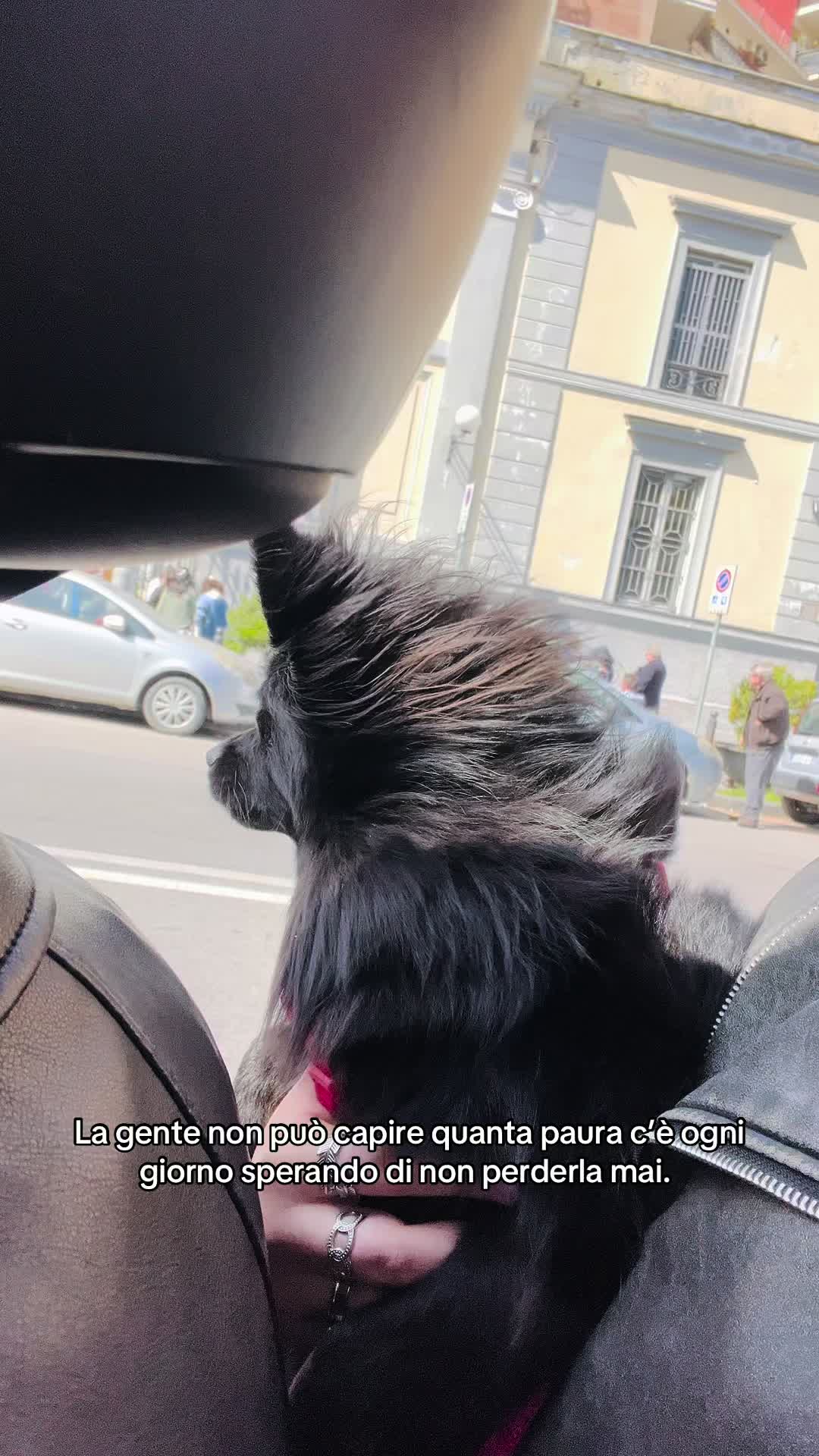 @__silviavitolo17
