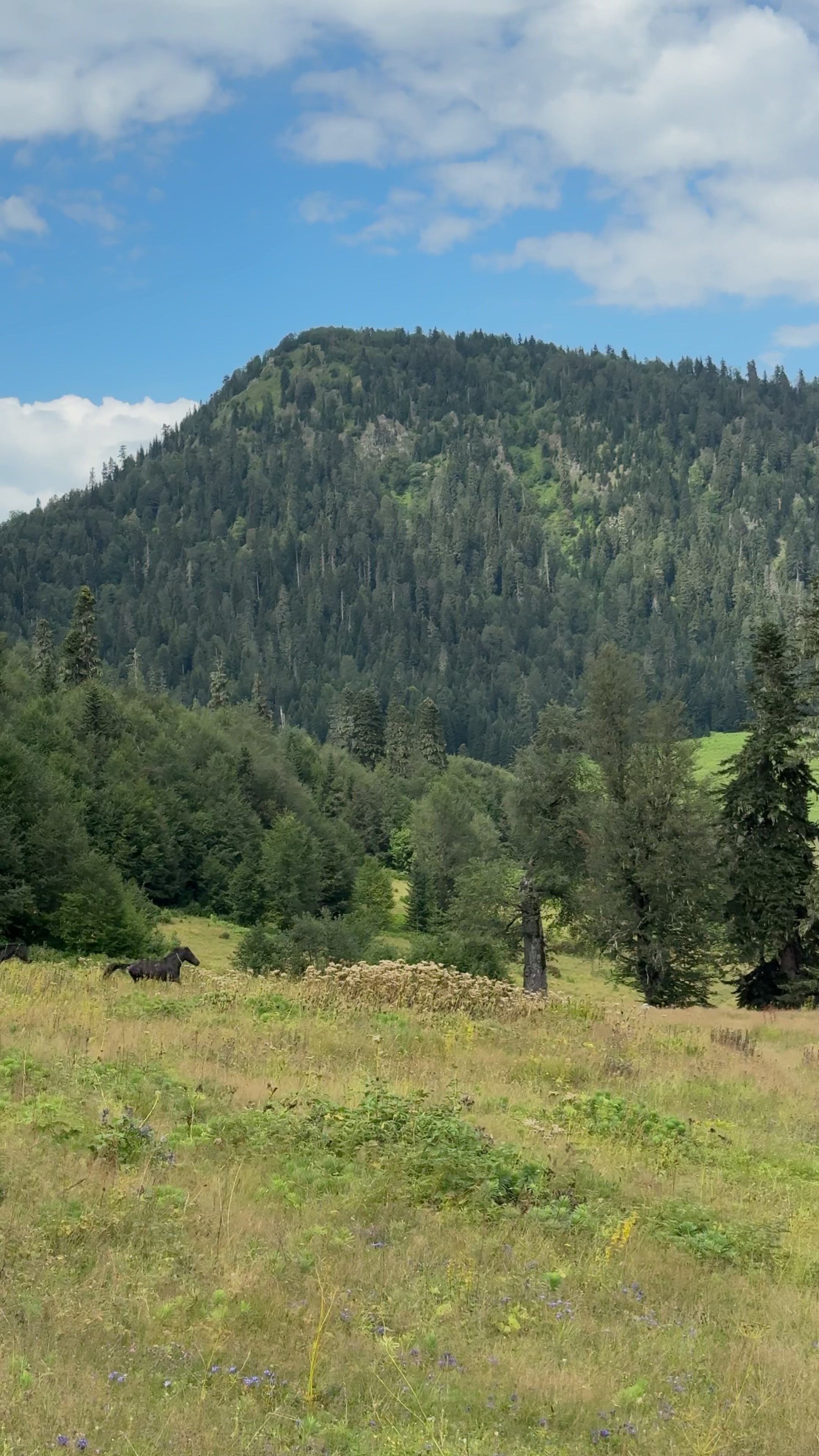 @SvanetiMountainsOfficial