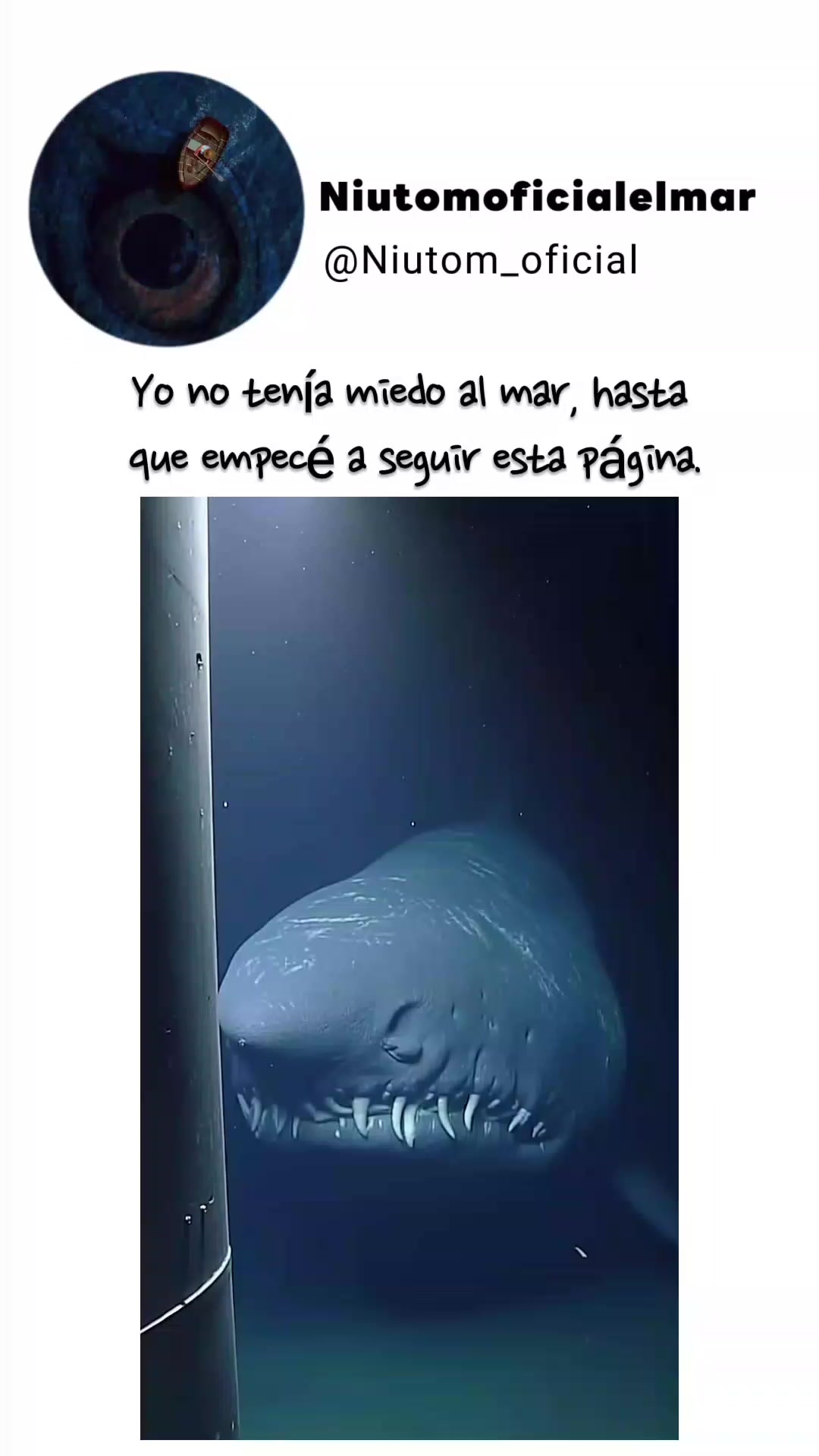 @🌊️niutom oficial el mar 🌊