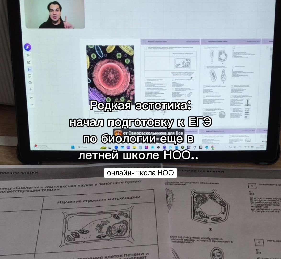 @Асиф Агаев / Биология ЕГЭ