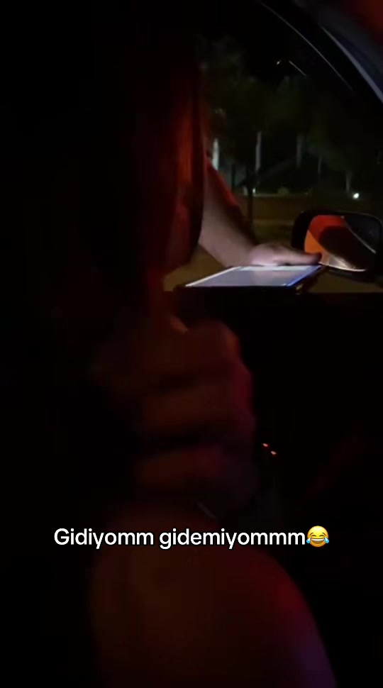 @Emine Nur Gülten