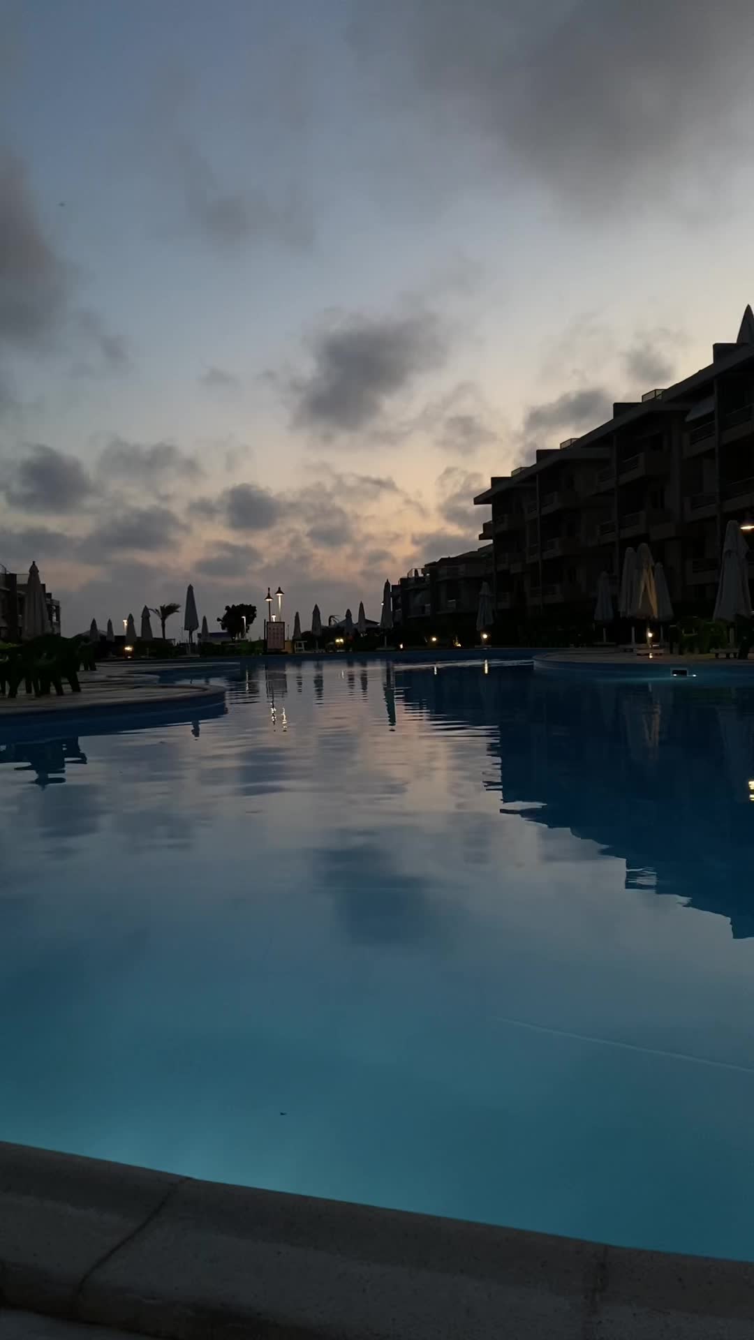 @dinaelamir86