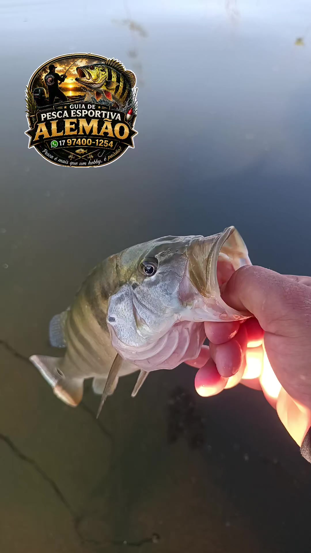 @guiadepescaalemao