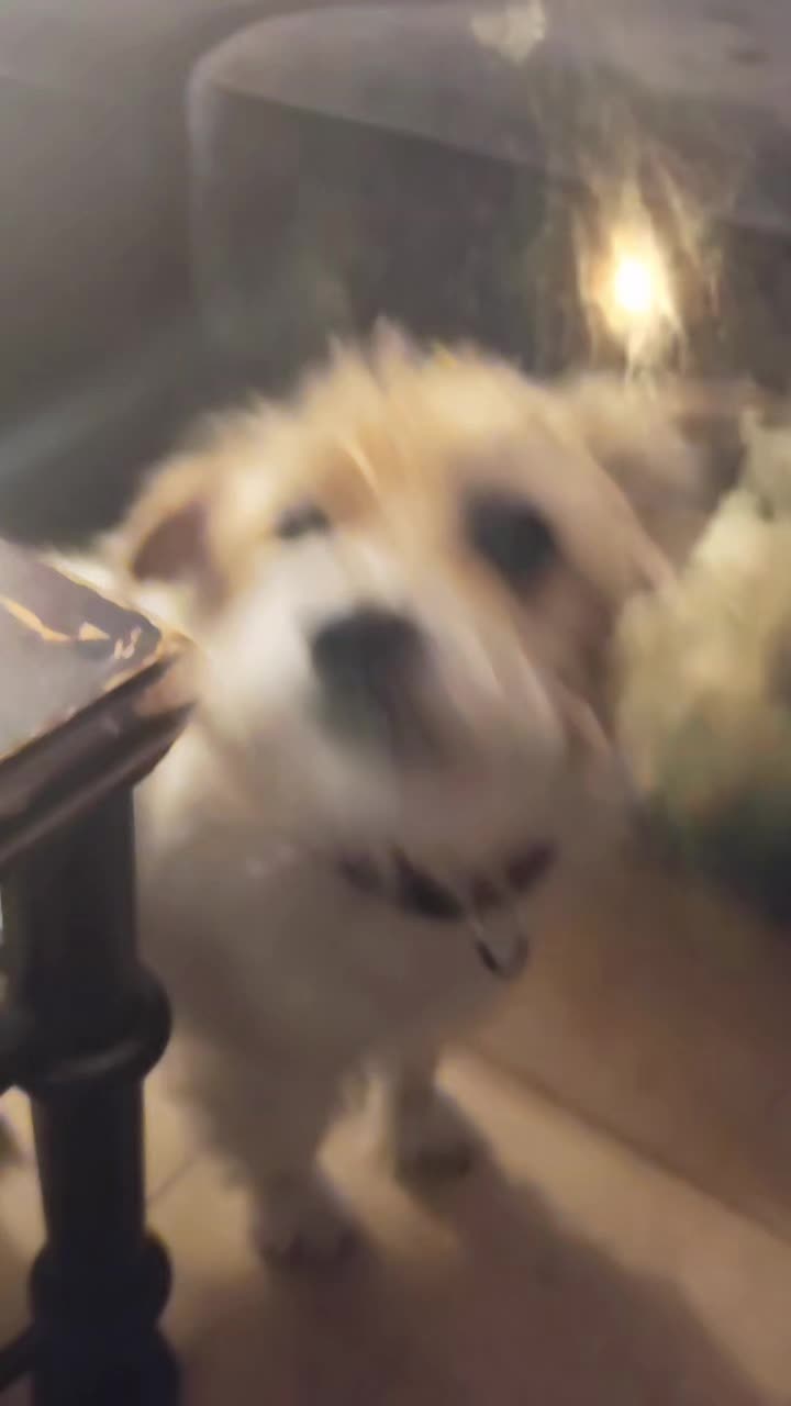 @๐ ๐ฑ๐๐๐๐๐๐ ๐