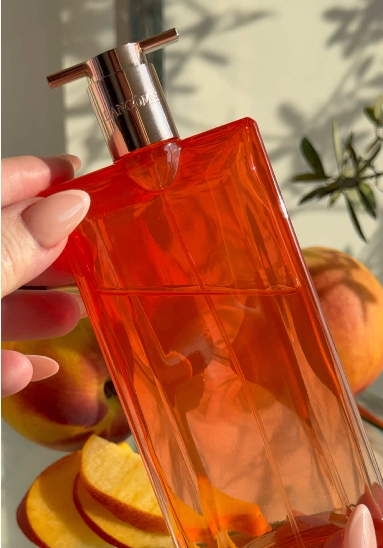 @Lady perfumes