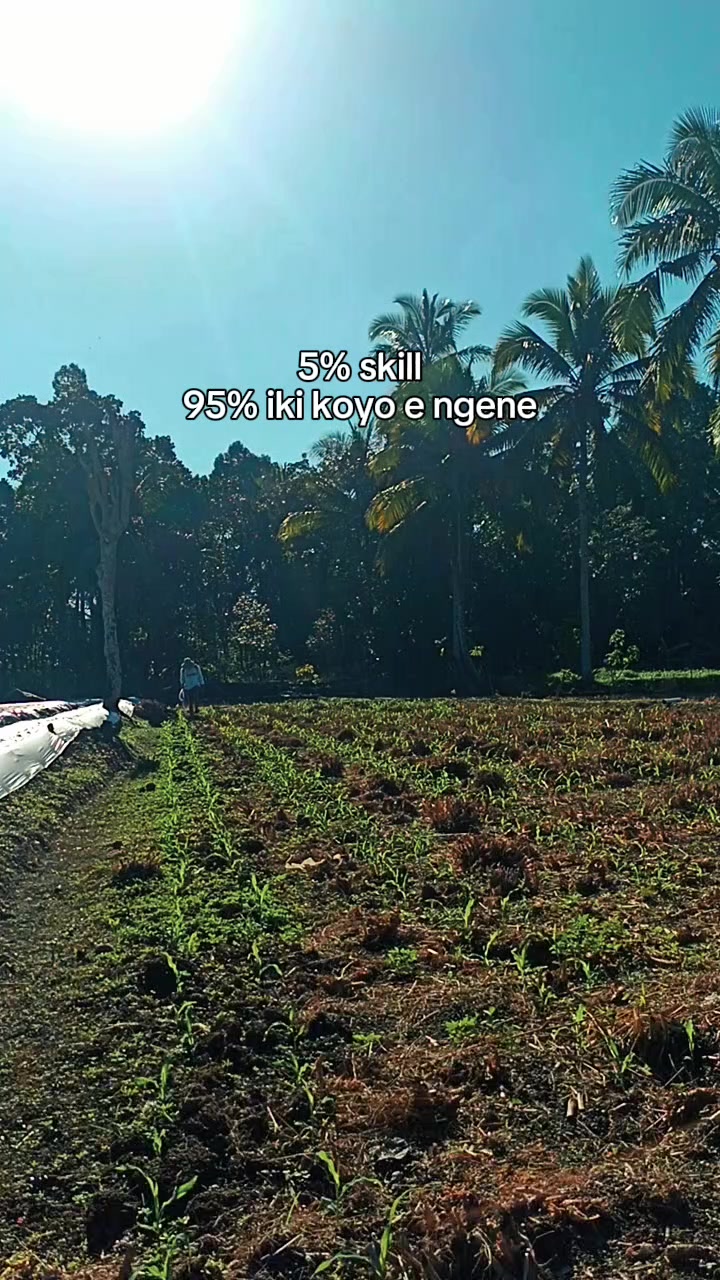 @JP farm
