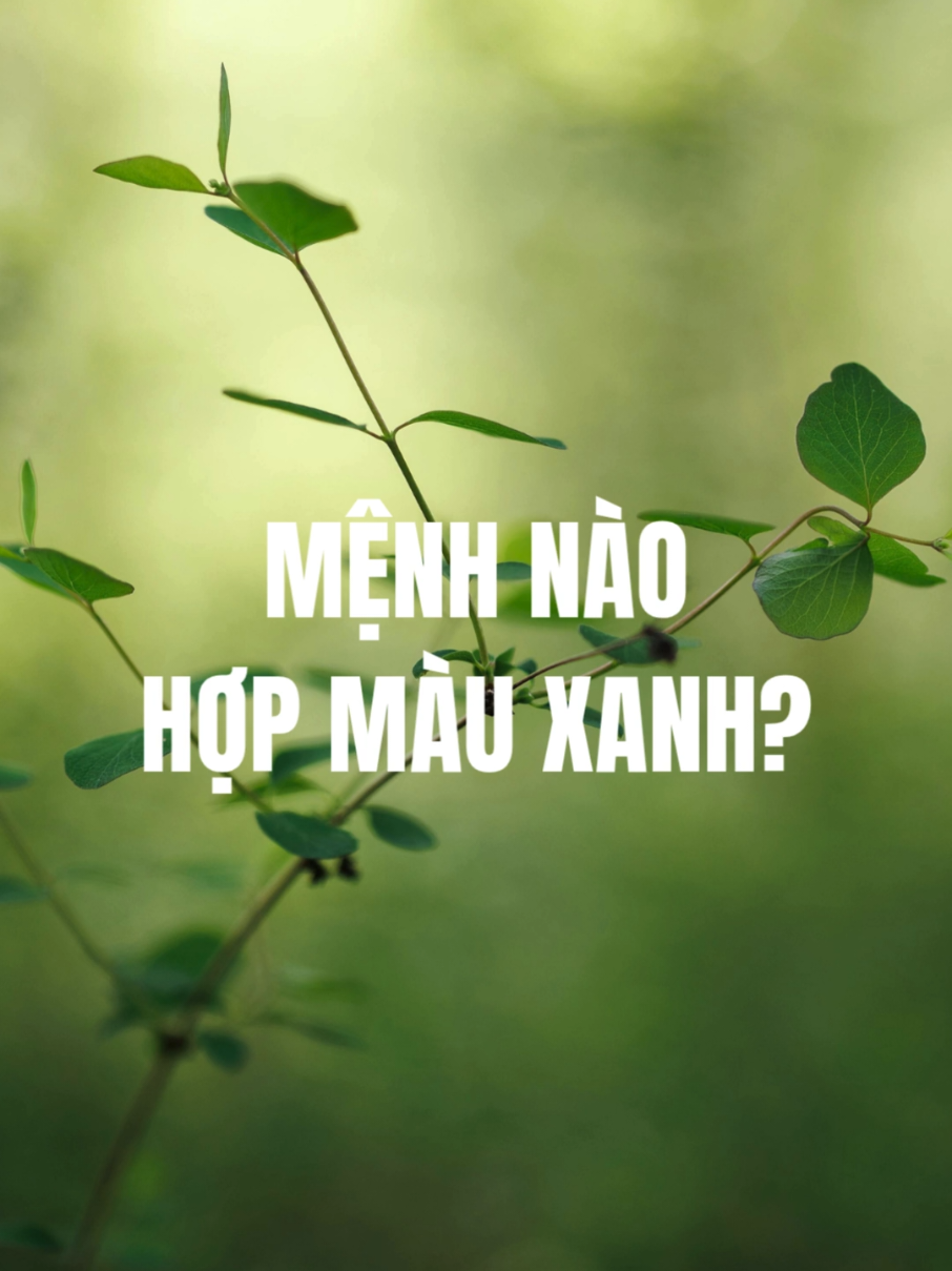 @Nh&acirc;n tướng học - Steven