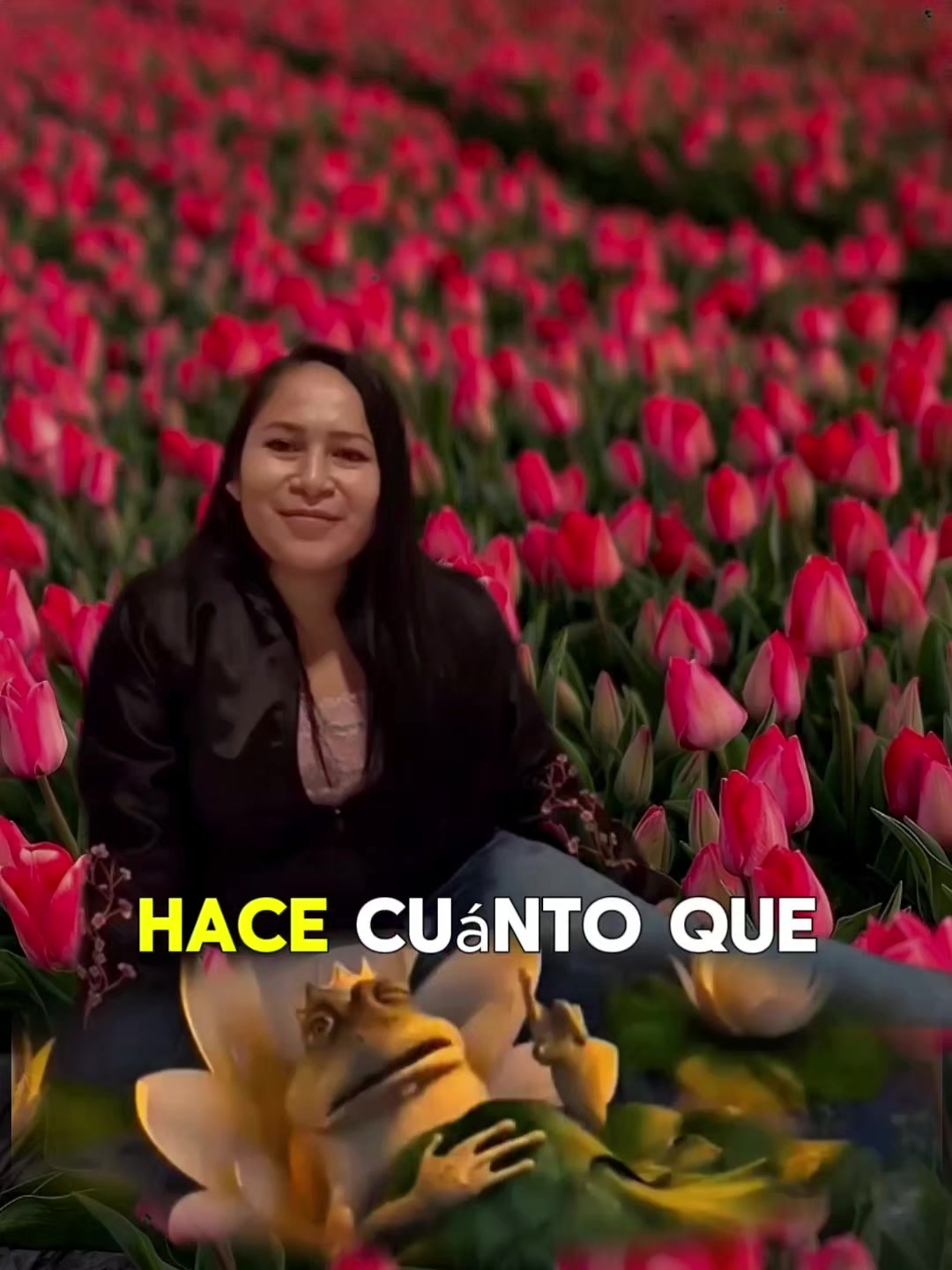 @Multimedia Peruana