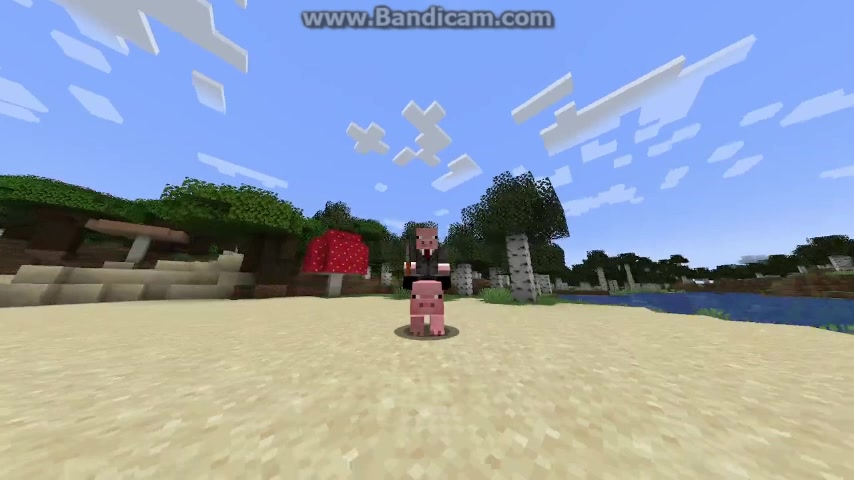 @1bedwars4_zxc_pro88