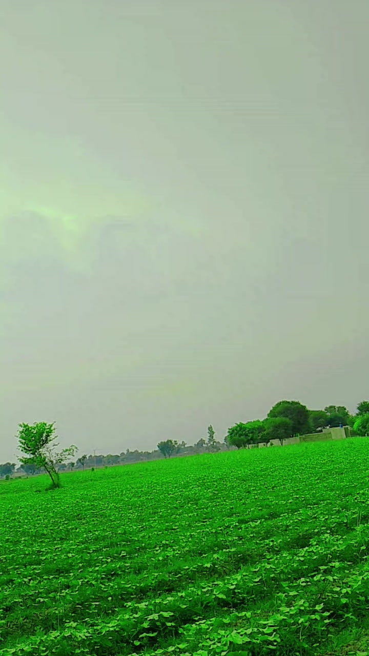@bhai jaan