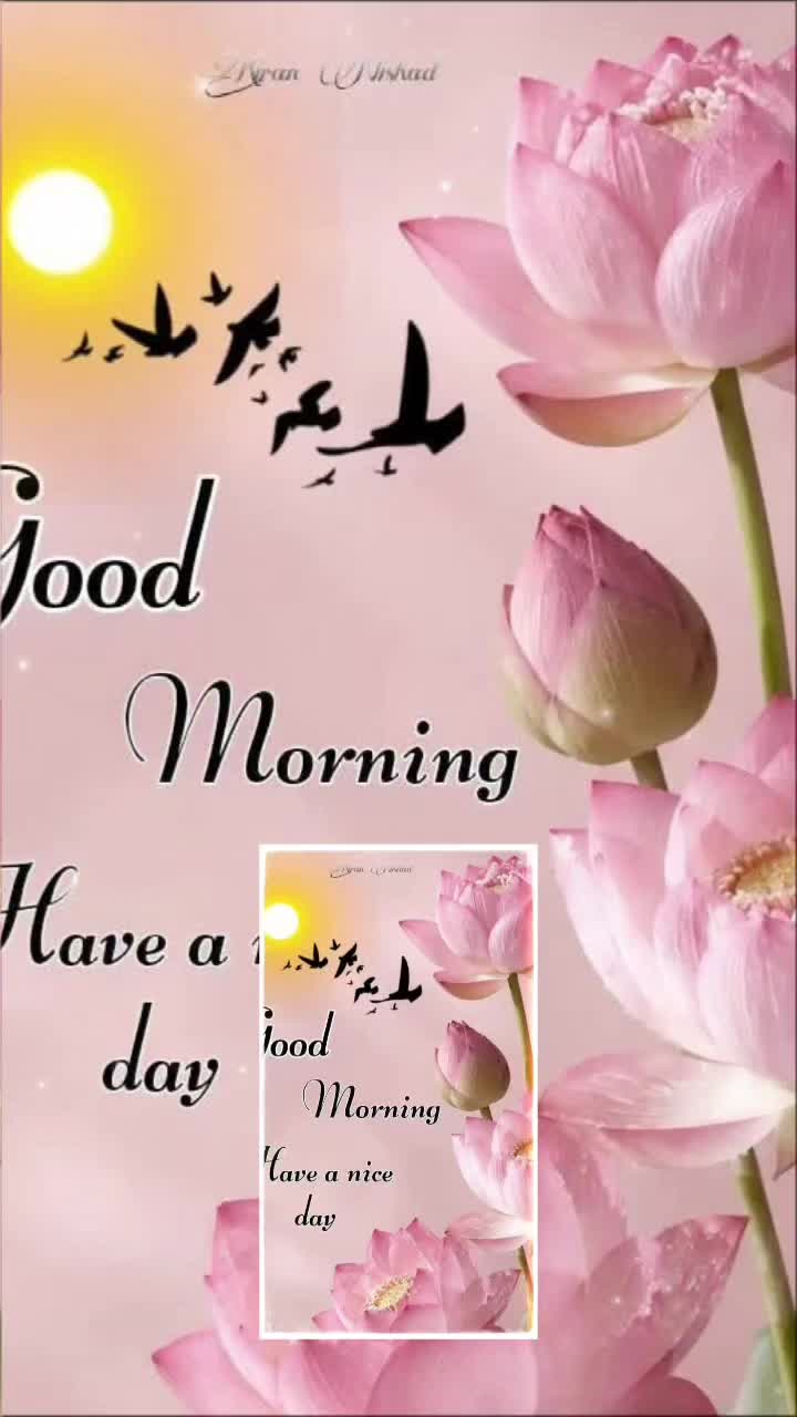 @&hearts;️&hearts;️&hearts;️SUMIN SINGH  &hearts;️&hearts;️&hearts;️