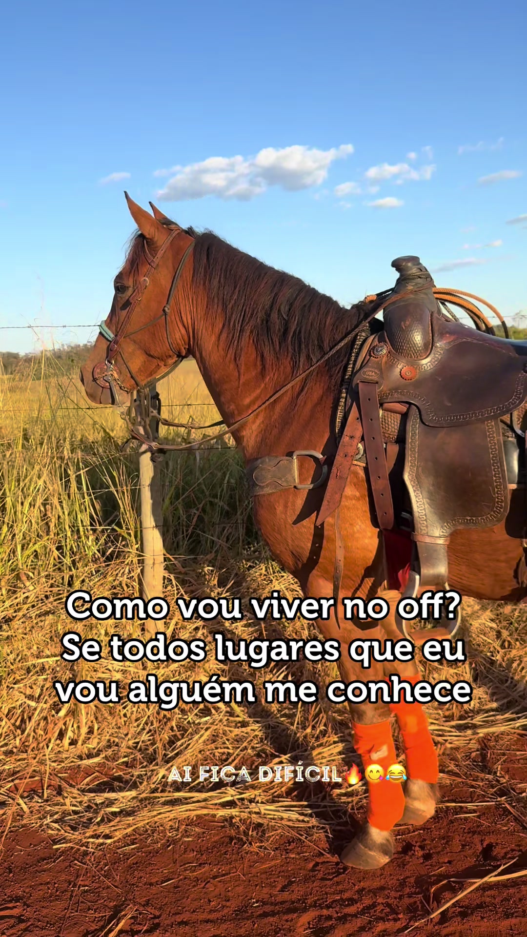 @mateusandrade9837