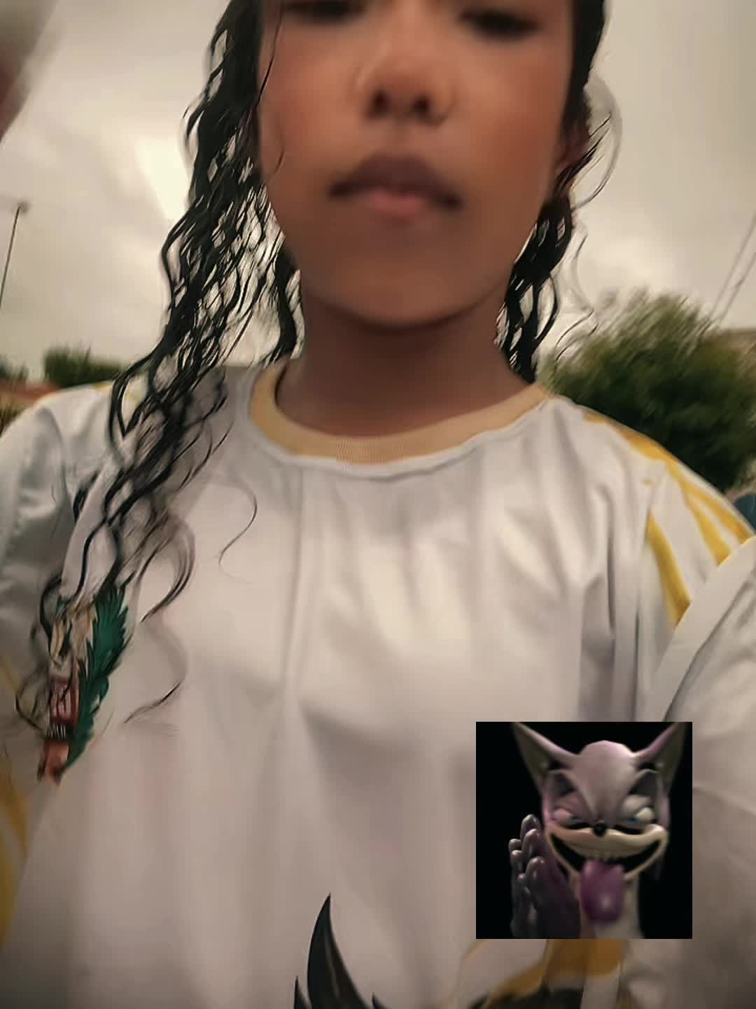 @🎋