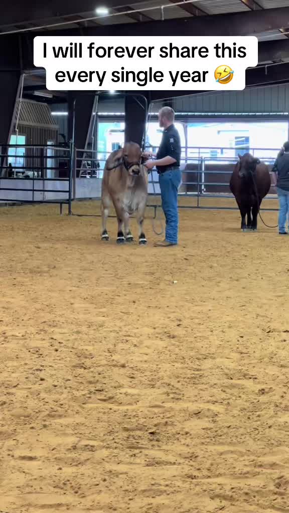 @The V6 Ranch