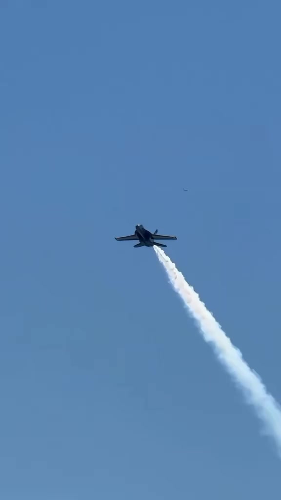 @الشاوي 🔥🇩🇿المتمرد🕸️ 🛩💙