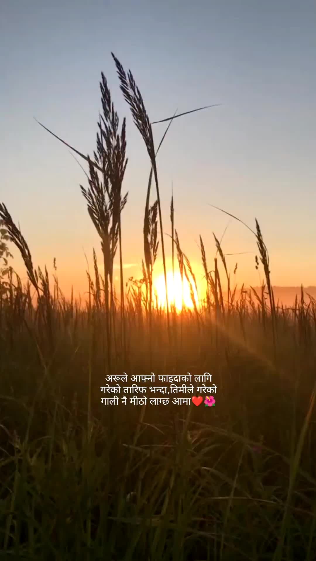 @Mr.Chhetri♥️😊