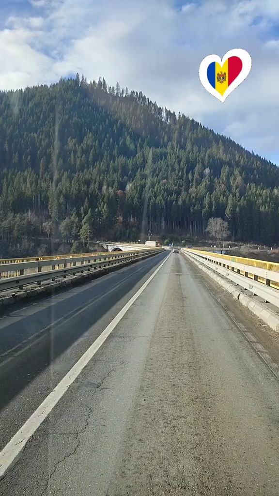 @Anișoara Viziru
