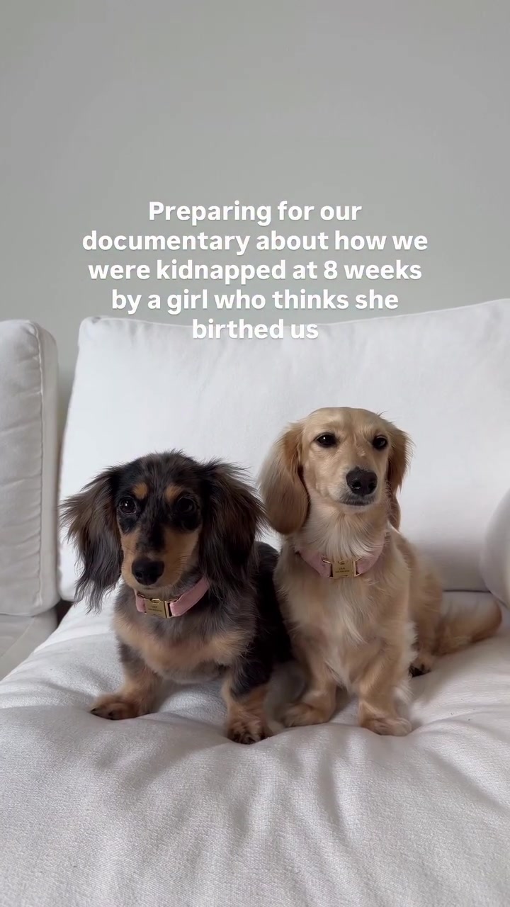 @Lila & Lily The Doxxies