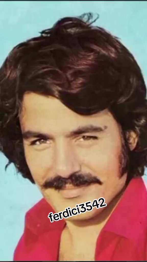 @ferdici3542