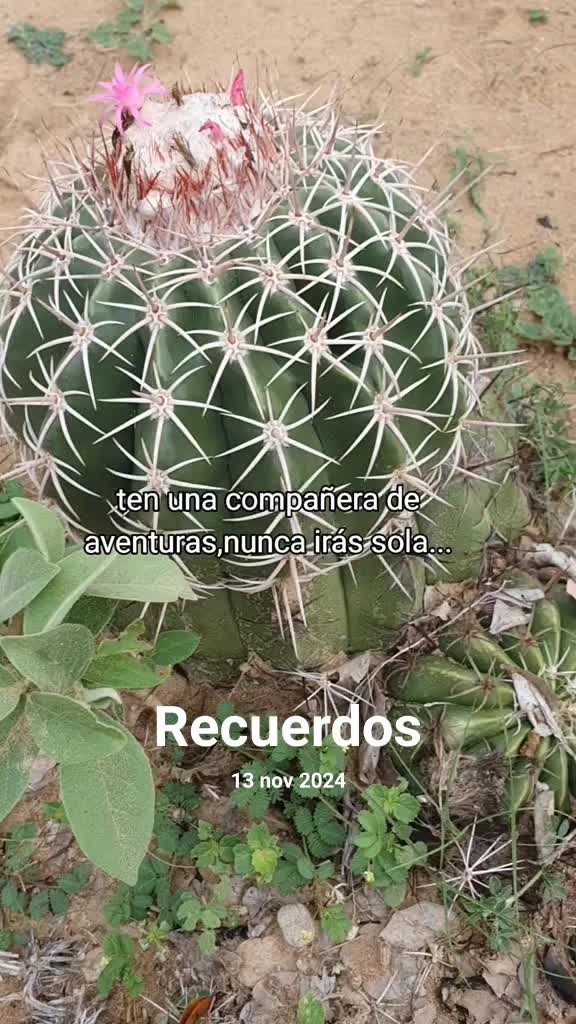 @Valentina 💝