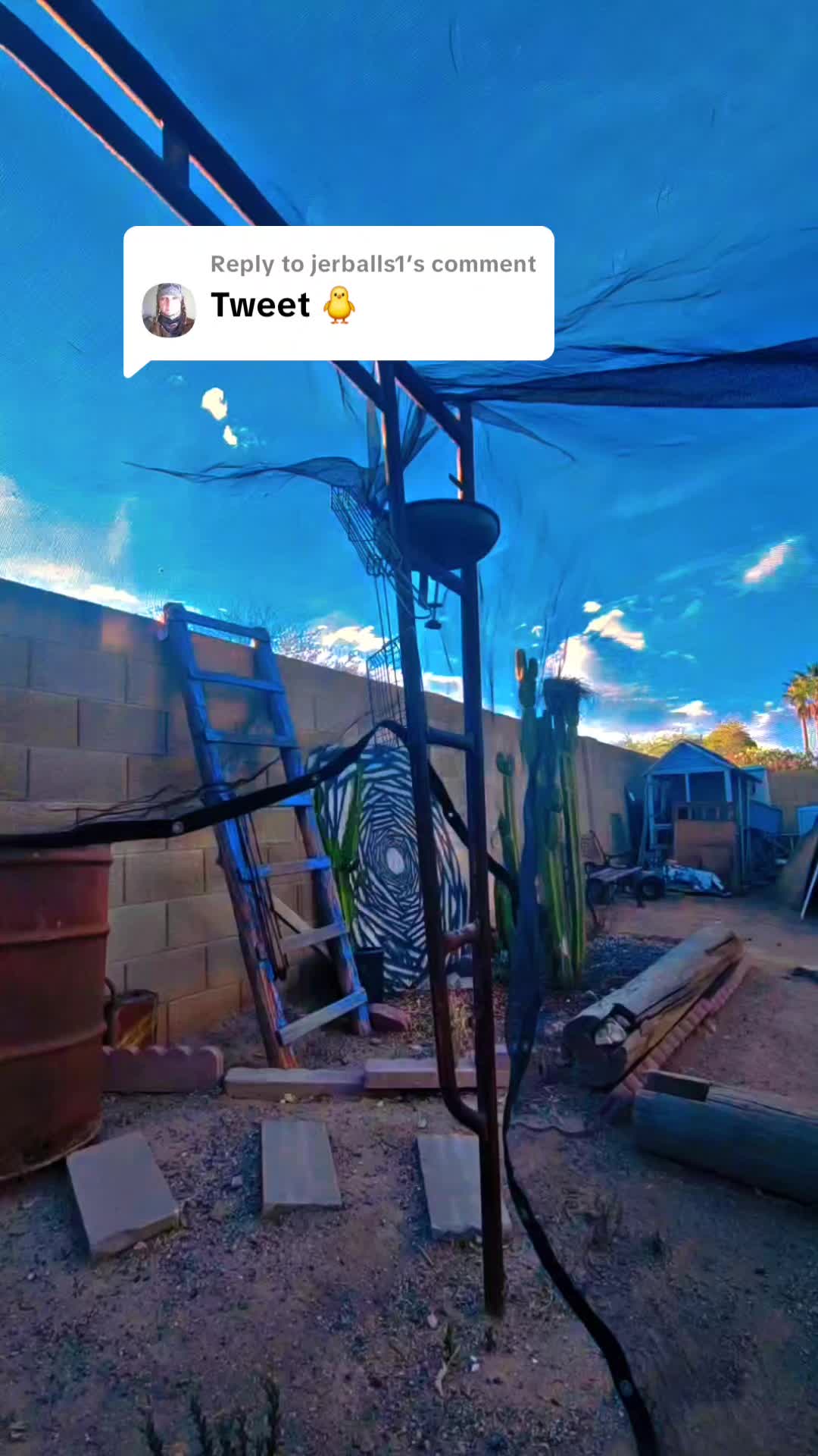 @cactifam