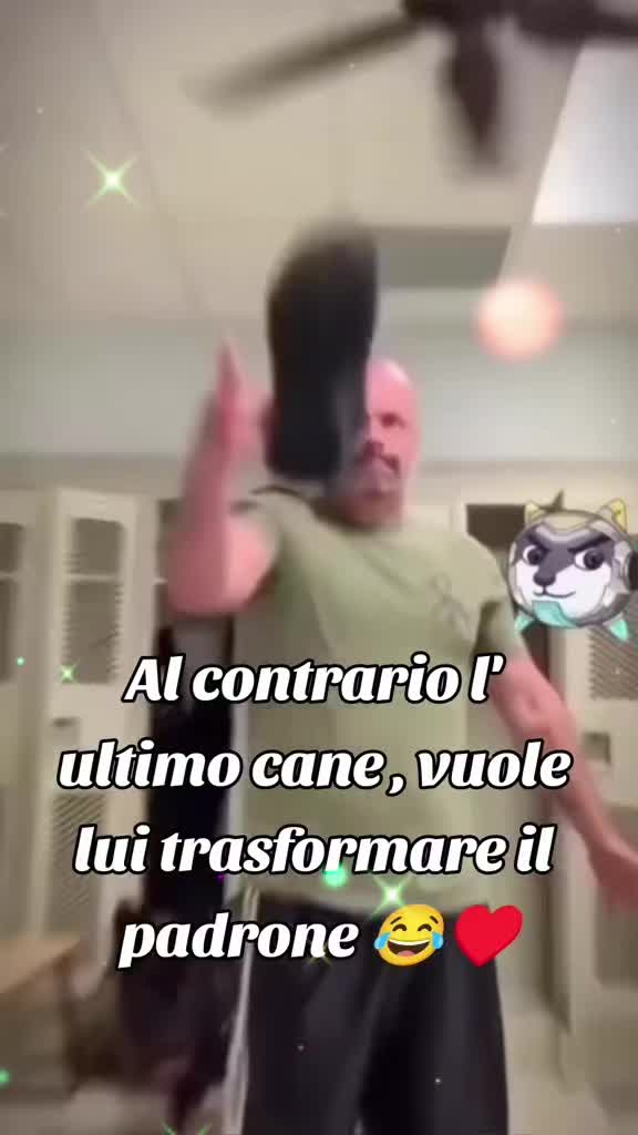@VENNE DAL FREDDO 🥶