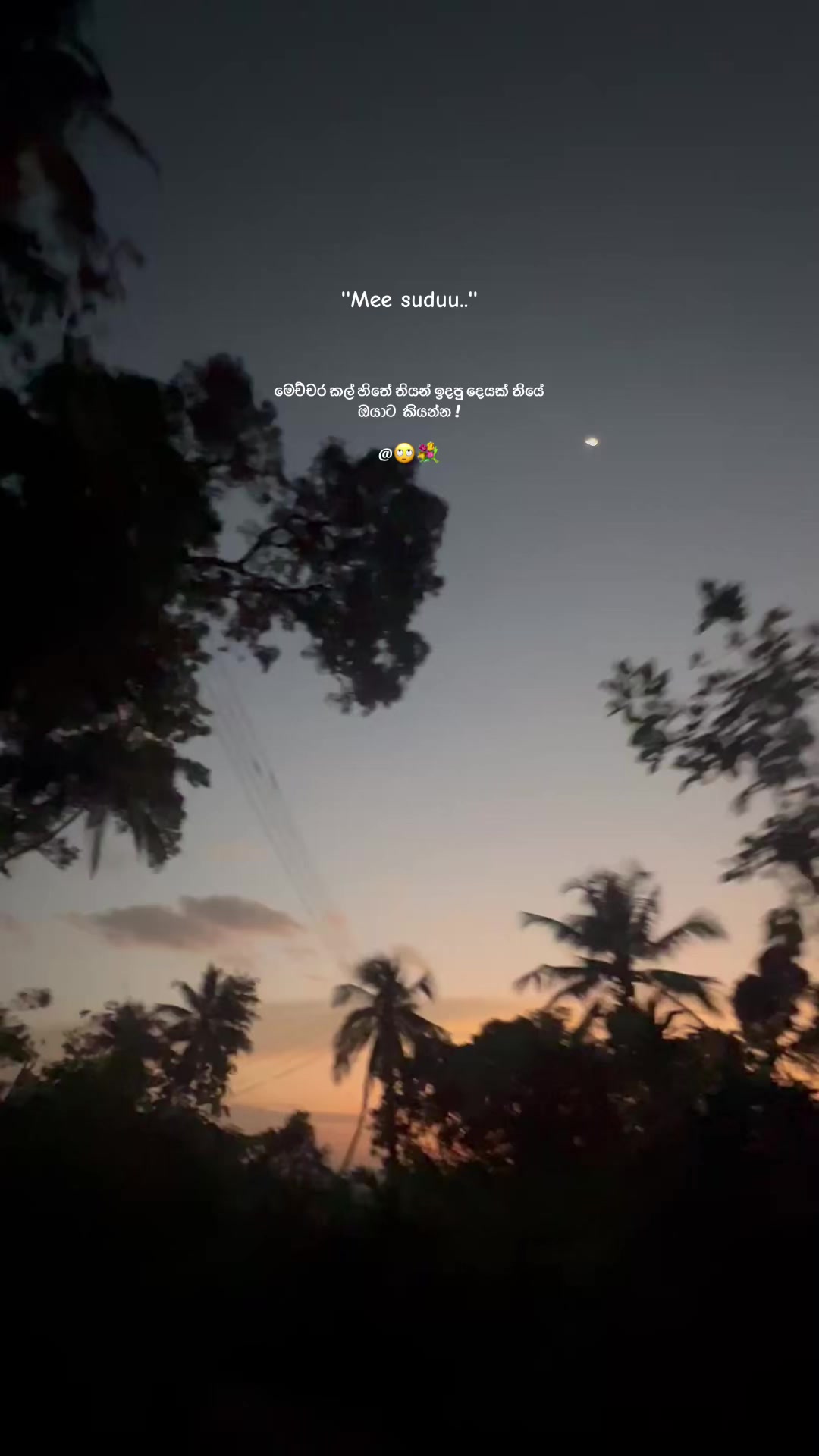 @08:28🔮ᥫ᭡