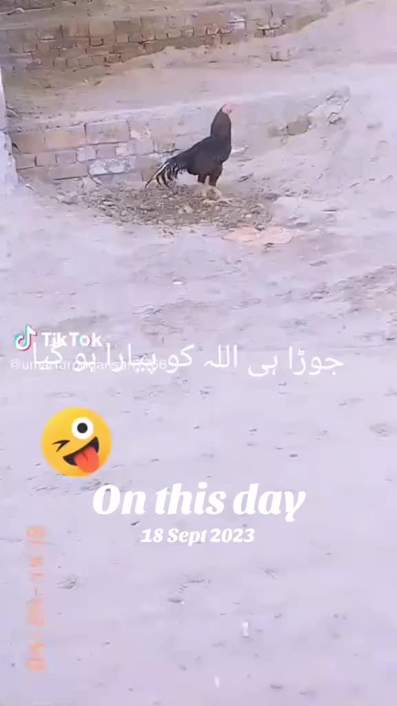 @پاکستانی منڈا